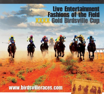 Birdsville 2011 poster