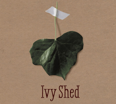 IvyShed Logo