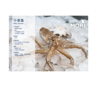 Mori Octopus Chinese